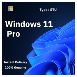 Windows 11 Pro lifetime key